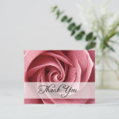 Carte Postale merci : roses : (Debout devant)