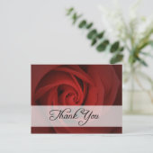 Carte Postale merci : roses : (Debout devant)