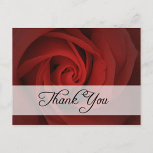 Carte Postale merci : roses :