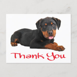 Carte Postale Merci Rottweiler Chien Chien Chien Chien Salutatio