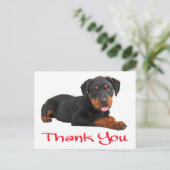 Carte Postale Merci Rottweiler Chien Chien Chien Chien Salutatio (Debout devant)