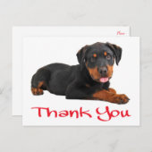 Carte Postale Merci Rottweiler Chien Chien Chien Chien Salutatio (Devant / Derrière)