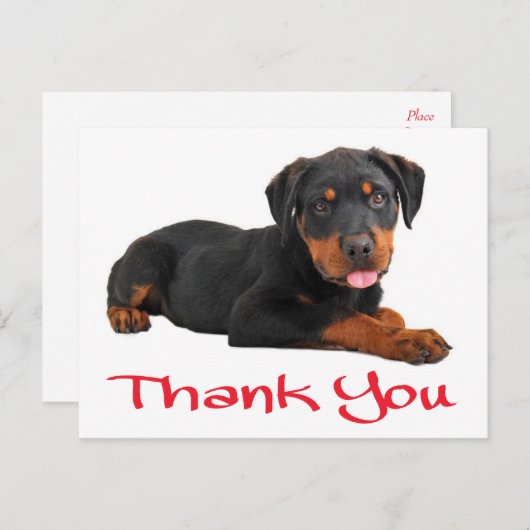 Carte Postale Merci Rottweiler Chien Chien Chien Chien Salutatio (Devant / Derrière)