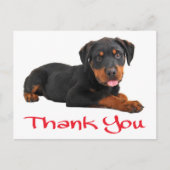 Carte Postale Merci Rottweiler Chien Chien Chien Chien Salutatio (Devant)