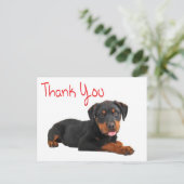 Carte Postale Merci Rottweiler Chien Chien Chien Chien Salutatio (Debout devant)