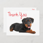 Carte Postale Merci Rottweiler Chien Chien Chien Chien Salutatio (Devant / Derrière)