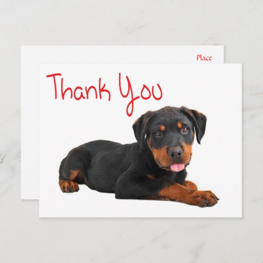 Carte Postale Merci Rottweiler Chien Chien Chien Chien Salutatio (Devant / Derrière)