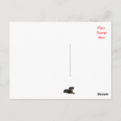 Carte Postale Merci Rottweiler Chien Chien Chien Chien Salutatio (Dos)