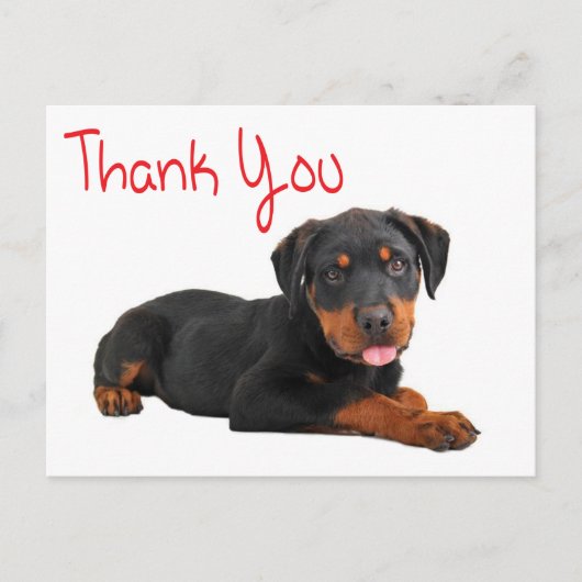 Carte Postale Merci Rottweiler Chien Chien Chien Chien Salutatio (Devant)