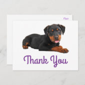 Carte Postale Merci Rottweiler Chien Chien Chien Chien Salutatio (Devant / Derrière)