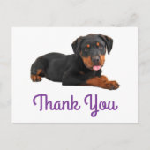 Carte Postale Merci Rottweiler Chien Chien Chien Chien Salutatio (Devant)
