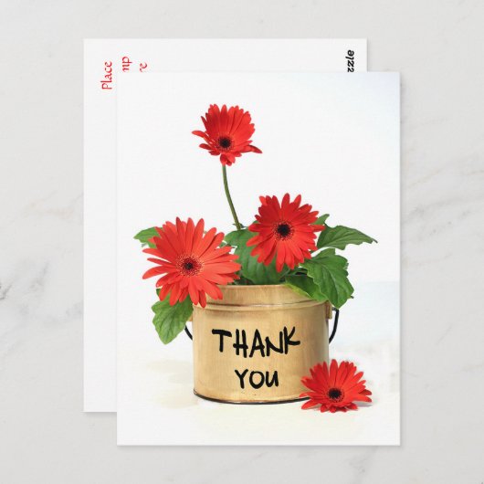 Carte postale Merci rouge Gerbera Fleur Pot (Devant / Derrière)