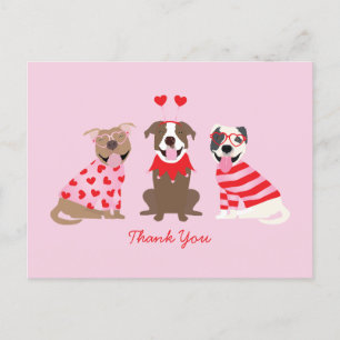 Carte Postale Merci Saint-Valentin American Pit Bull Terrier