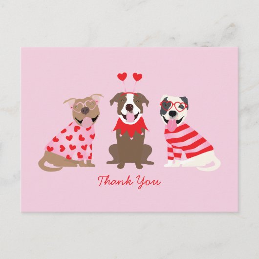Carte Postale Merci Saint Valentin American Pit Bull Terrier (Devant)