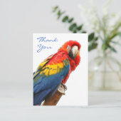 Carte postale Merci Scarlet Macaw (Debout devant)