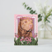 Carte Postale Merci - Shar Pei - Lucky (Debout devant)