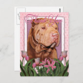 Carte Postale Merci - Shar Pei - Lucky (Devant / Derrière)