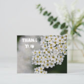 Carte postale Merci Spiraea (Debout devant)