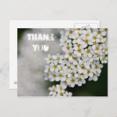 Carte postale Merci Spiraea (Devant / Derrière)