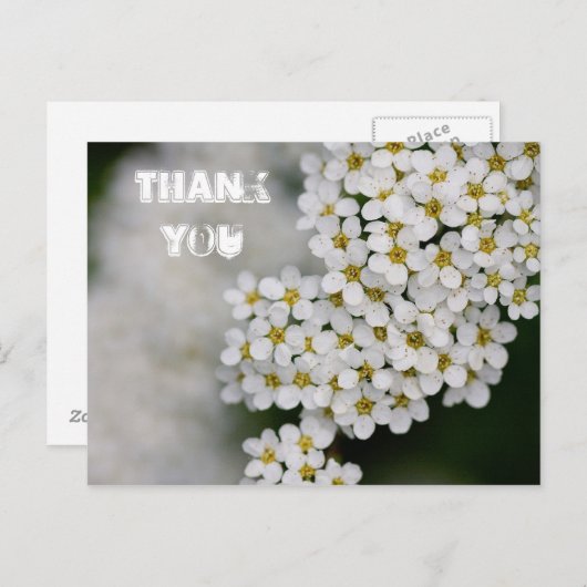 Carte postale Merci Spiraea (Devant / Derrière)