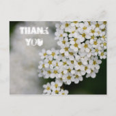 Carte postale Merci Spiraea (Devant)