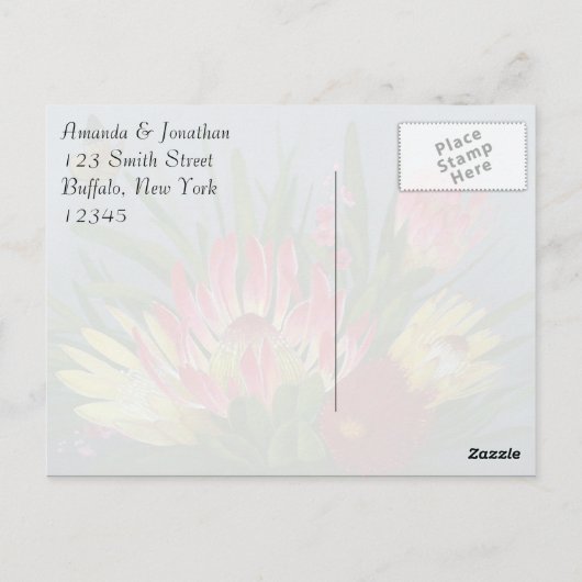 Carte Postale Merci sud-africain des protéines (Dos)