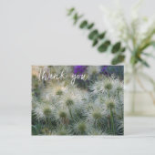 Carte postale Merci Têtes de graines de Pulsatille (Debout devant)