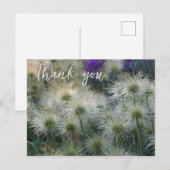 Carte postale Merci Têtes de graines de Pulsatille (Devant / Derrière)