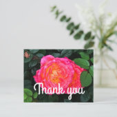 Carte postale Merci Tiddly Winks Rose #1 (Debout devant)