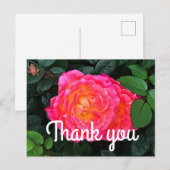 Carte postale Merci Tiddly Winks Rose #1 (Devant / Derrière)