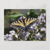 Carte postale Merci Tiger Swallowtail (Devant)