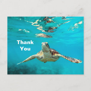 Carte Postale Merci Tortue de Mer
