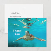 Carte Postale Merci Tortue de Mer (Devant / Derrière)