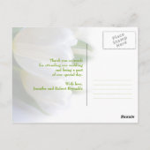 Carte postale Merci Tulipes blanches (Dos)