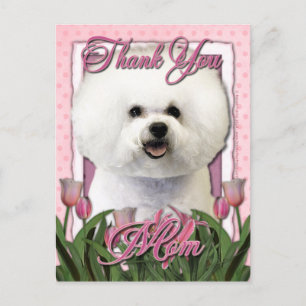 Carte Postale Merci - Tulipes roses - Bichon Frise