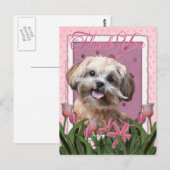 Carte Postale Merci - Tulipes roses - ShihPoo - Maggie (Devant / Derrière)