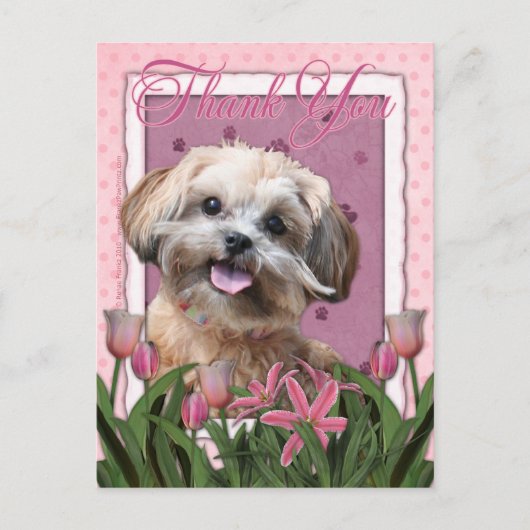 Carte Postale Merci - Tulipes roses - ShihPoo - Maggie (Devant)