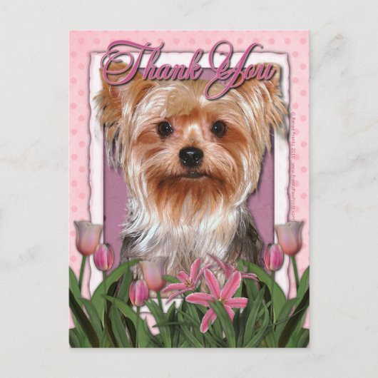Carte Postale Merci - Tulipes roses - Yorkshire Terrier (Devant)