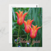 Carte postale Merci Tulips (Devant / Derrière)