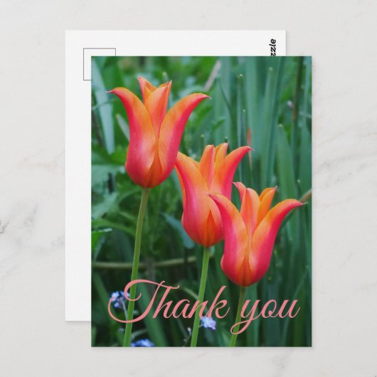 Carte postale Merci Tulips (Devant / Derrière)