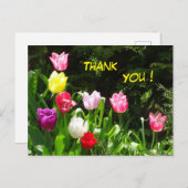 Carte postale Merci Tulips colorée (Devant / Derrière)