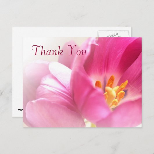 Carte postale Merci Tulips Spring (Devant / Derrière)