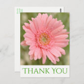 Carte Postale Merci vert rose Gerbera Fleur marguerite (Devant / Derrière)