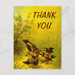 Carte postale Merci vintage Éperviers peints