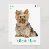Carte postale Merci Yorkshire Terrier Chien Chien  (Devant / Derrière)