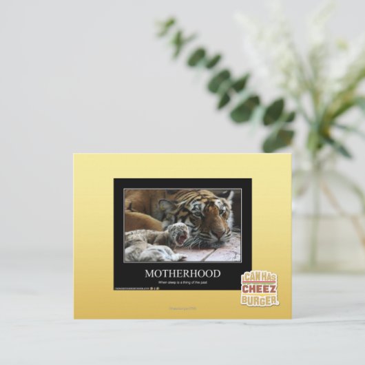 Carte Postale Mère (Debout devant)