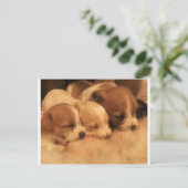 Carte Postale mère (Debout devant)