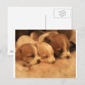 Carte Postale mère (Devant / Derrière)