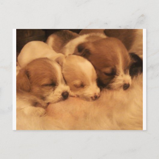 Carte Postale mère (Devant)