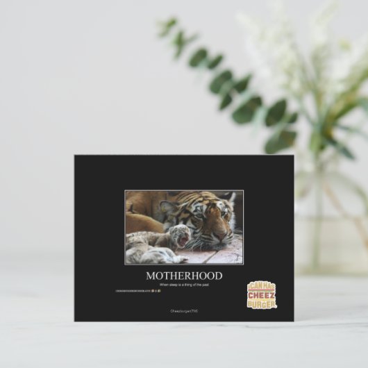 Carte Postale Mère (Debout devant)